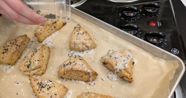 Ant Scones UD 1