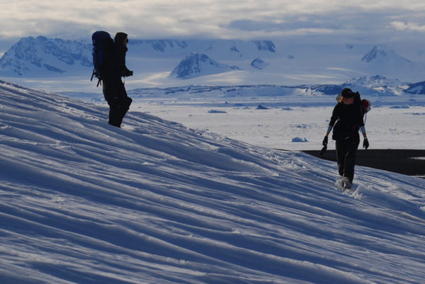 041716_AP3Antarcticadinos