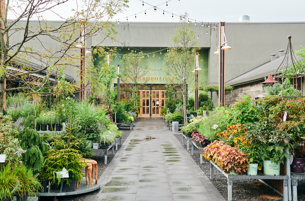 Anthropologie