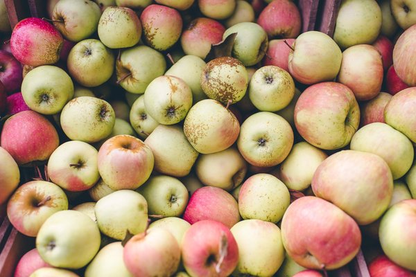 Philadelphia Cider Week 2019