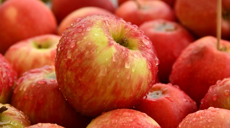 Apples Bad Cholesterol Heart Health