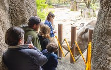 Philadelphia Zoo - Rhinos