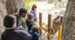 Philadelphia Zoo - Rhinos
