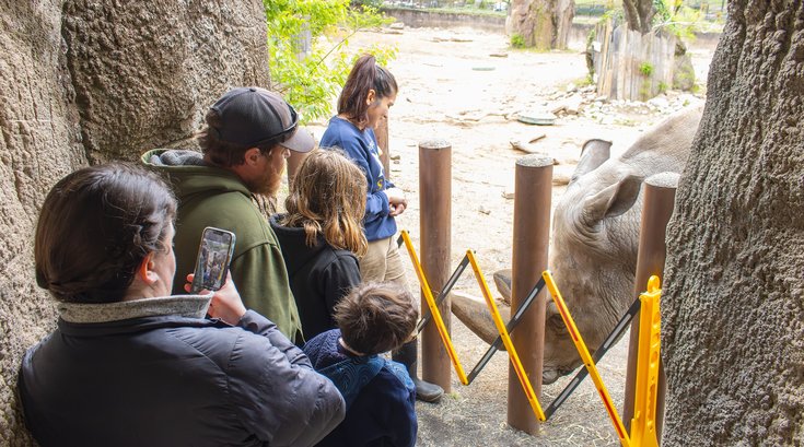 Philadelphia Zoo - Rhinos