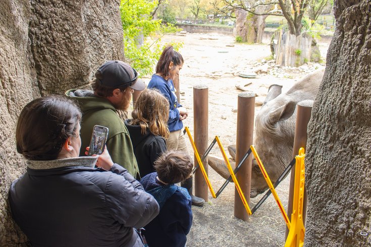 Philadelphia Zoo - Rhinos