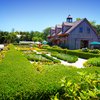 Beach Plum Farm