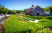 Beach Plum Farm