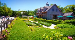 Beach Plum Farm