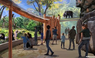 Bear exhibit reopening
