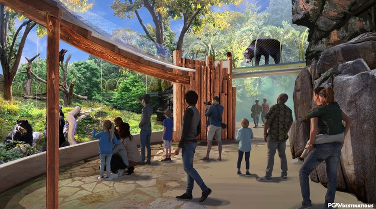Bear exhibit reopening