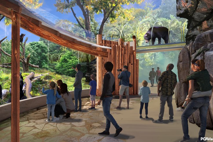 Bear exhibit reopening