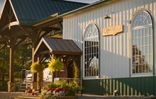 Limited - Beneduce Vineyards_Fall