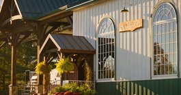 Limited - Beneduce Vineyards_Fall