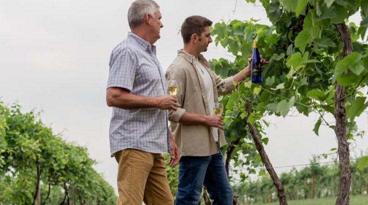 Benigna's PA wines