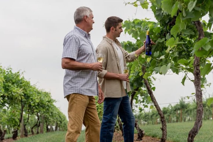 Benigna's PA wines