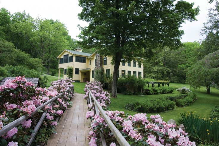 Benton Home Rhododendrons 