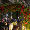 Betsy Ross House_Tree Lighting