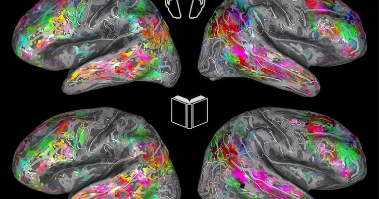Reading and listening to books stimulates the same areas of the brain