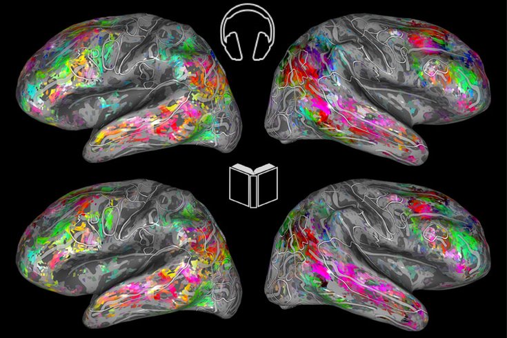 Brain Maps Berkeley Reading Books Listening Audiobooks study