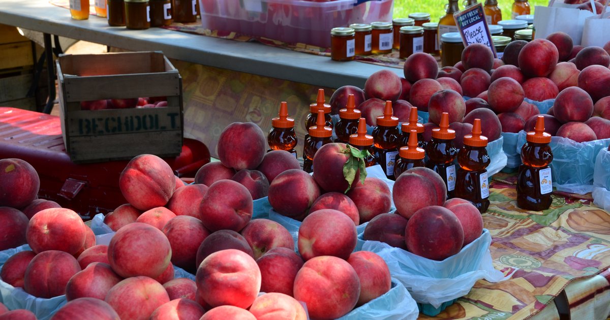 Why do peaches have fuzz? PhillyVoice