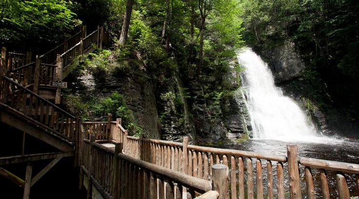 Limited - Bushkill Falls Main Image 1