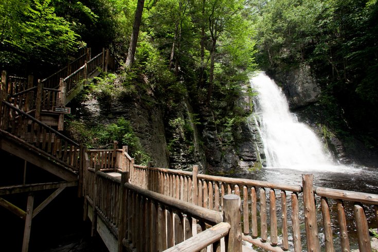 Limited - Bushkill Falls Main Image 1