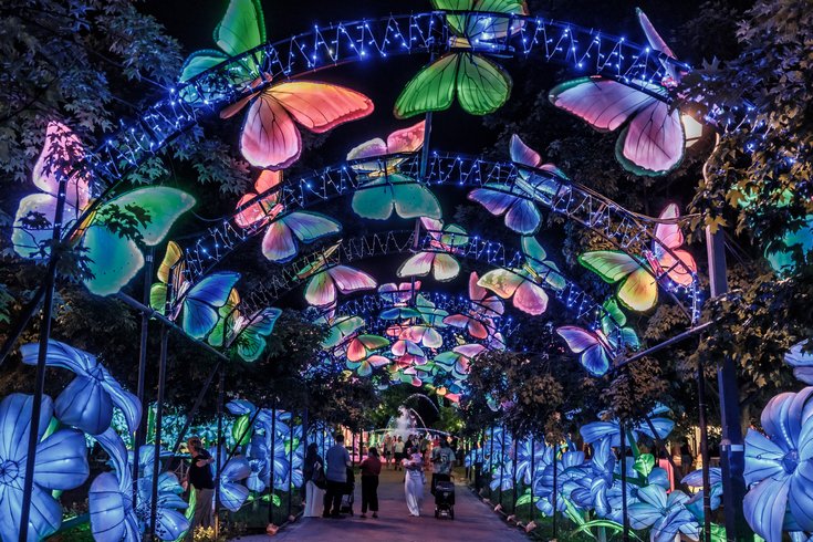 Butterfly Corridor 2026 PCLF_JeffFuscoforTianyu (1).JPG