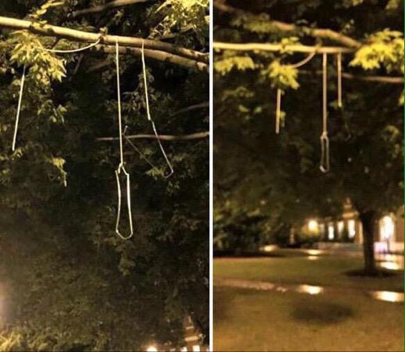 Lanterns or nooses? 