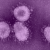 Camden County Coronavirus