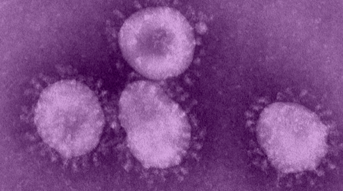 Coronavirus Patient NJ