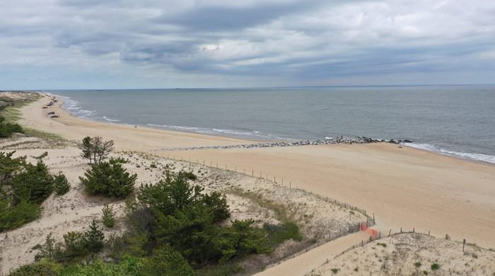 Cape Henlopen Shark Two