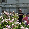 Celebration of the Roses