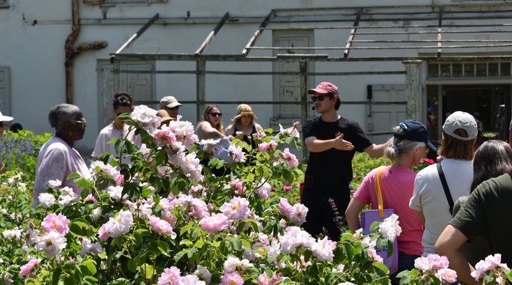 Celebration of the Roses