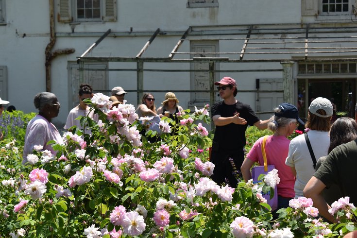 Celebration of the Roses