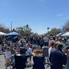 Cherry Blossom Celebration - Margate