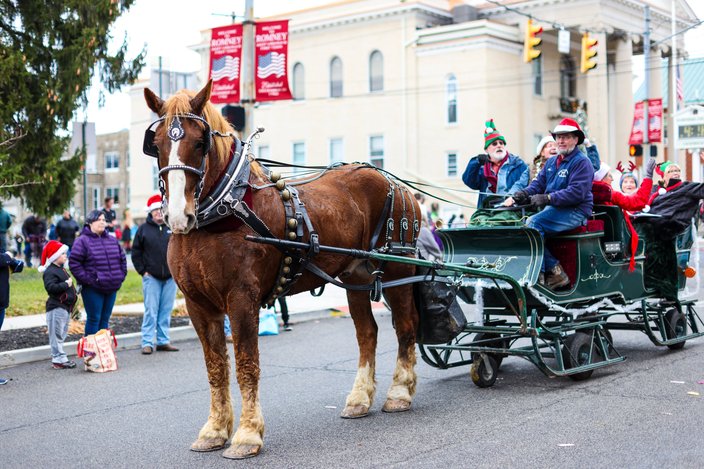 Limited - Christmas in Romney