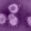 Coronavirus washington