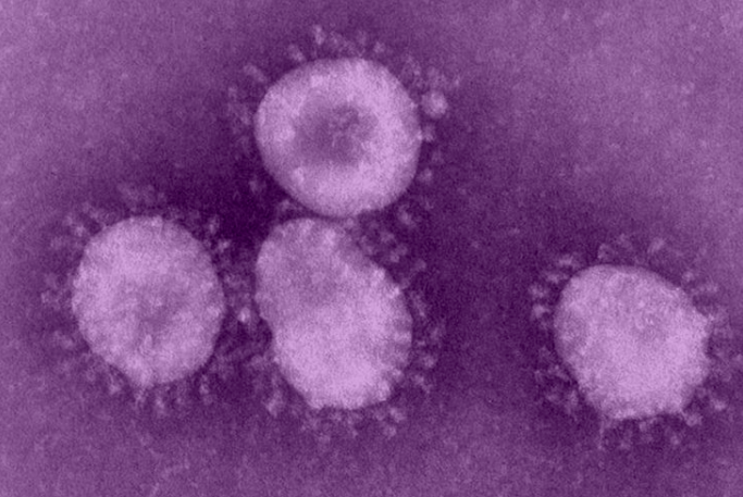 Coronavirus washington