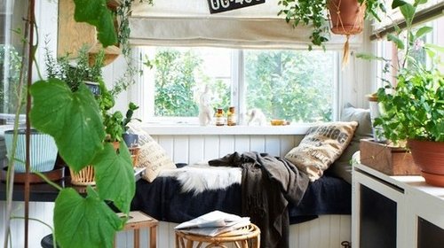 Limited - Cozy Nap 1