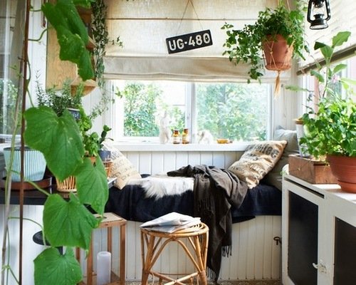 Limited - Cozy Nap 1