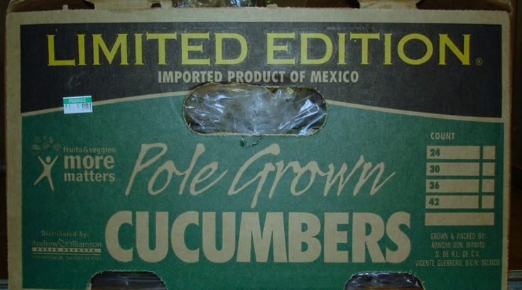 Cucumbers distributed in Jersey recalled due to Salmonella outbreak