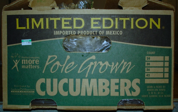 Cucumbers distributed in Jersey recalled due to Salmonella outbreak