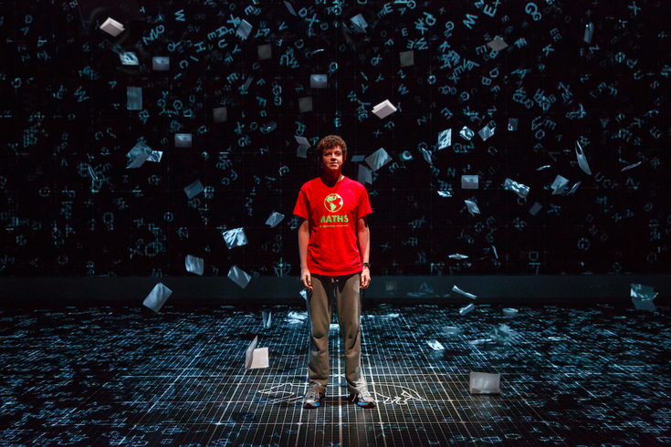 Curious Incident of the Dog in the Night-Time play