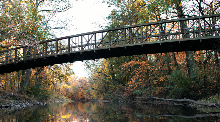 Limited - Green Ribbon Trail