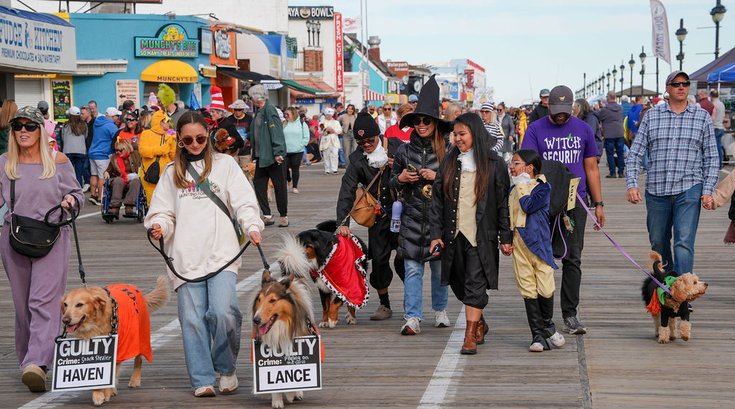 Dog Days in Ocean City NJ