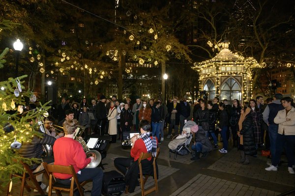 Rittenhouse tree lighting