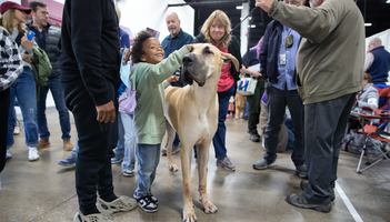National Dog Show - Dane wkids