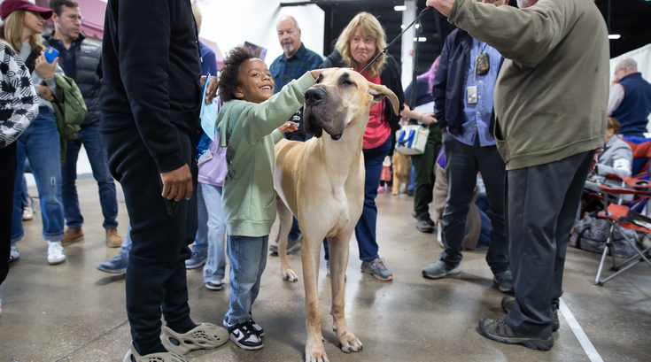 National Dog Show - Dane wkids