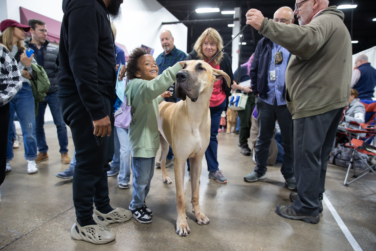 National Dog Show - Dane wkids