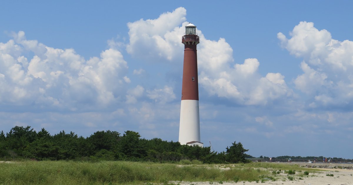 Dead whale buried on LBI beach because frozen carcass too difficult to remove PhillyVoice
